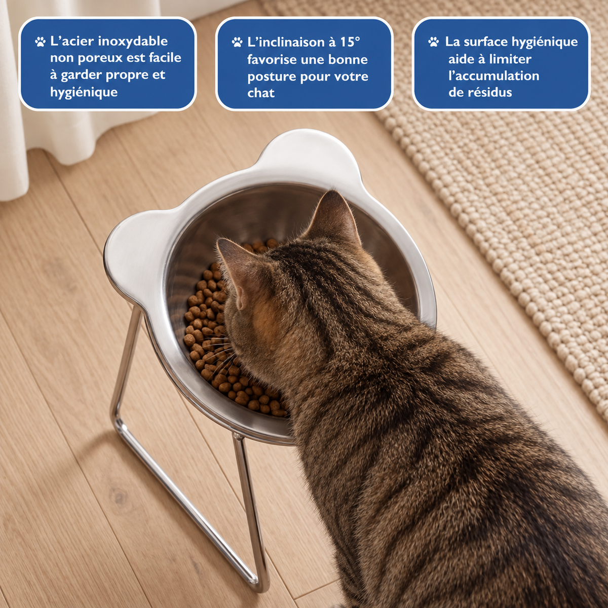 Gamelle surélevée en inox pour chat | Nelo