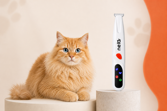 Comment toiletter son chat sans le stresser | Guide Nelo