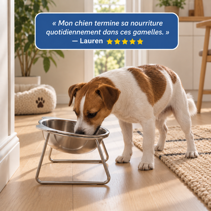 Gamelle surélevée en inox pour chien | Nelo