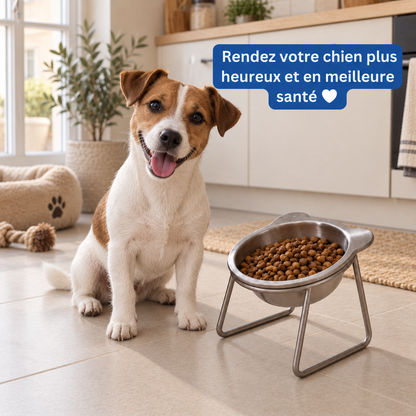 Gamelle surélevée en inox pour chien | Nelo