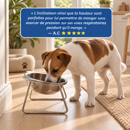 Gamelle surélevée en inox pour chien | Nelo