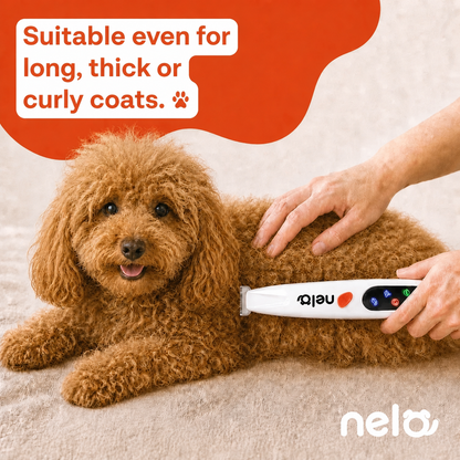 Dog grooming trimmer | Nelo