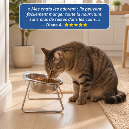 Gamelle surélevée en inox pour chat | Nelo