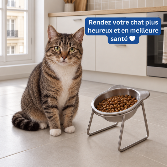 Gamelle surélevée en inox pour chat | Nelo