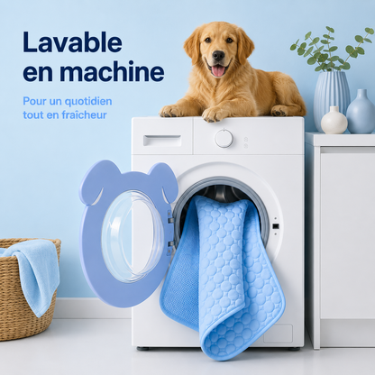 Tapis rafraîchissant pour chien | Nelo