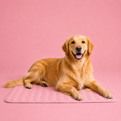 Tapis rafraîchissant pour chien | Nelo