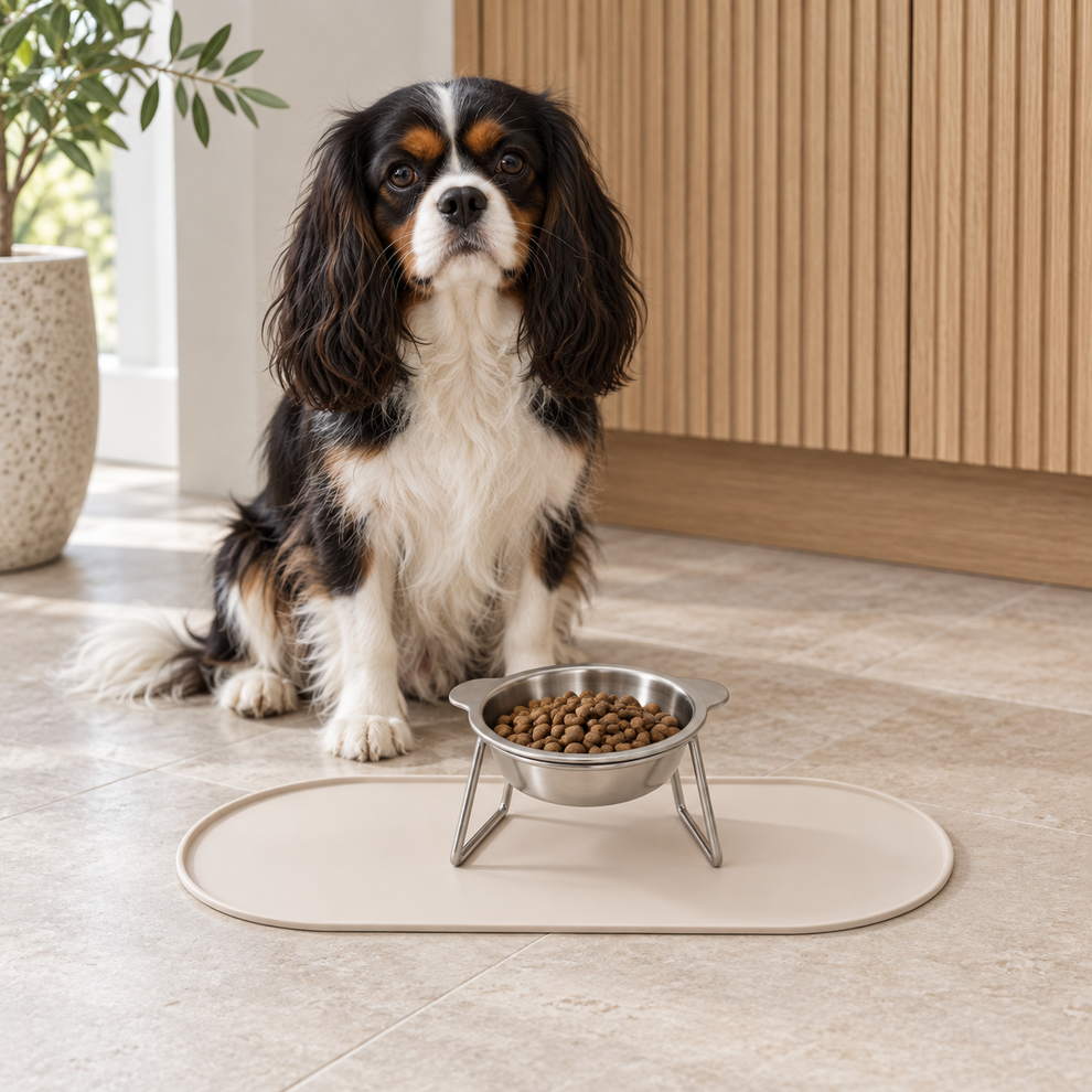 Tapis anti-débordement Nelo pour gamelles de chat et chien — photo 21