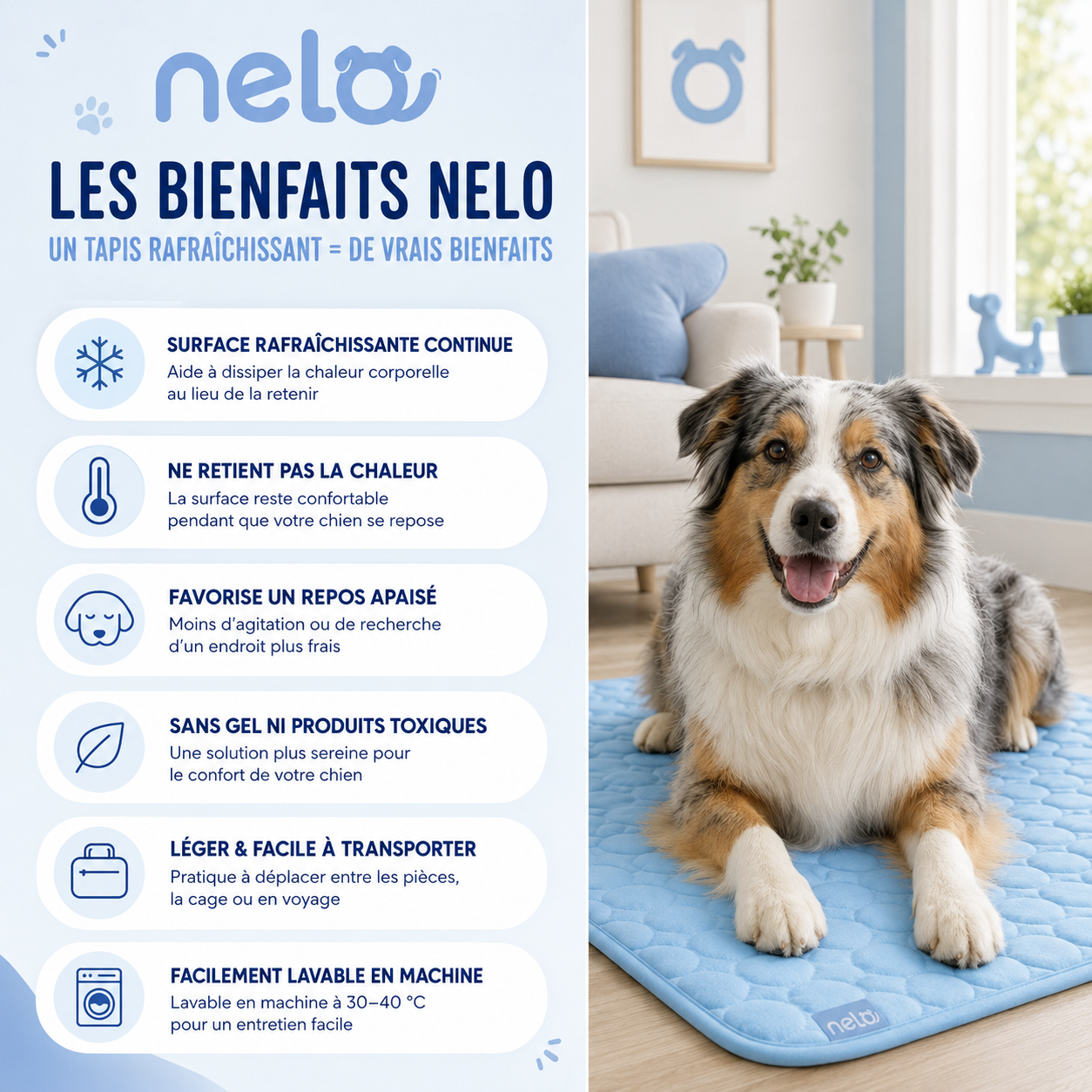Tapis rafraîchissant pour chien | Nelo