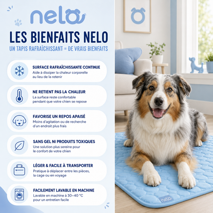 Tapis rafraîchissant pour chien | Nelo