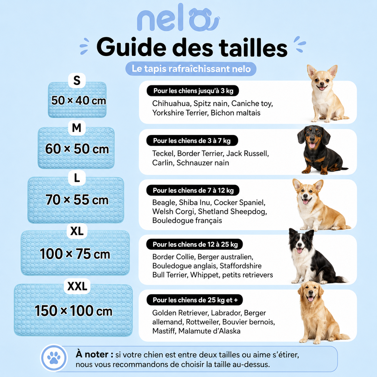 Tapis rafraîchissant pour chien | Nelo