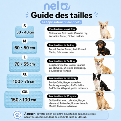 Tapis rafraîchissant pour chien | Nelo